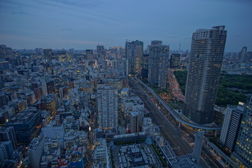 Obraz premium Beautiful urban cityscape of Tokyo under twilight sky