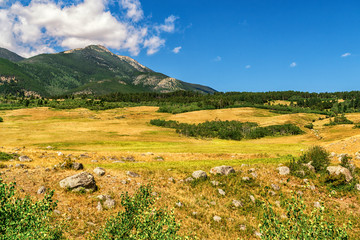 Fototapeta na wymiar Landscape image of a meadow here in Montana