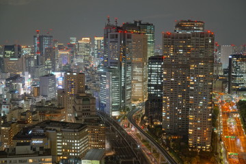 Naklejka premium Night view of Tokyo