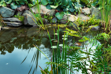 Beautifully decorated with stones and plants artificial body of water with a reflection of the sky on the water.