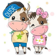 Cartoon Cow and Bull on a white background