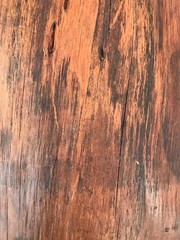 The Wood texture or background.