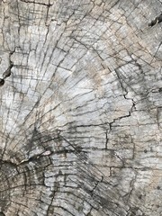 The old wood pattern background.