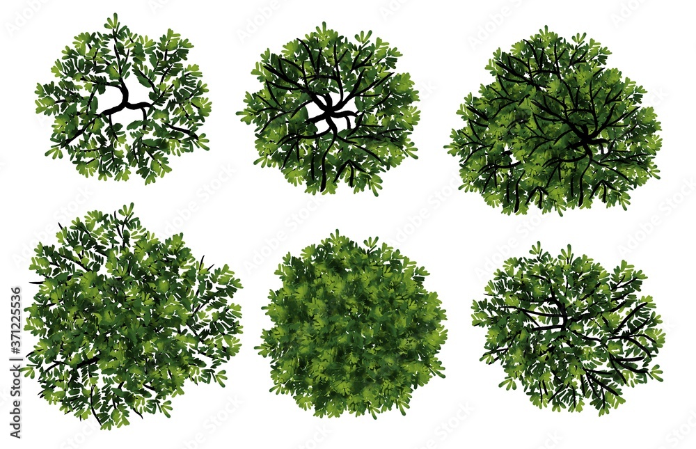 Wall mural set of abstract watercolor tree top view for landscape plan and architecture layout