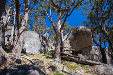 Country Landscape Mt Alexander Regional Park Victoria Australia