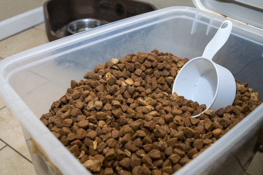Close up shot of a large plastic container filled with dog food, kibble and freeze dried meats. Scooper in food, water bowls in background.
