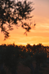 Foto del atardecer en el campo