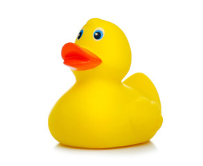 Yellow rubber duck on white background isolation