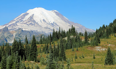 Fototapeta na wymiar Mt Rainier National Park, Washington