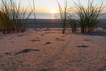 Sunset over the sea. Reflection of sunlight in the sea waves. The sky in the sunset rays.