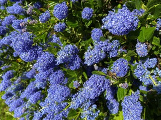 Plaisir des yeux. Magnificence de la nature