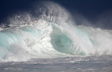 Pipe wave - Oahu, Hawaii