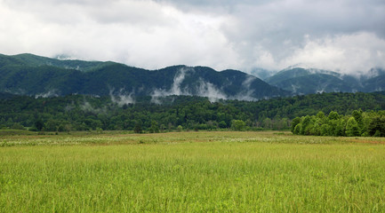 Fototapeta na wymiar Great Smoky Mountains NP, Tennessee