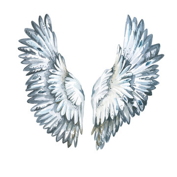 Hand painted watercolor set of wings with white and blue feathers. Illustration isolated on white