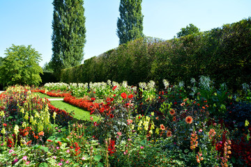Botanischer Garten in Gütersloh im August, bunte Blumenwiese
