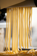 Produção de Talharim Cantina Italiana