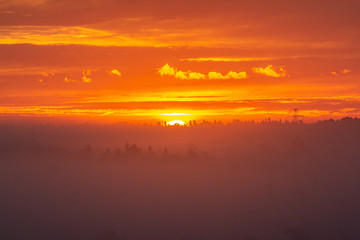 Fototapeta na wymiar sunrise in a swamp with fog