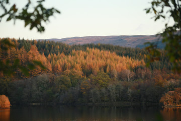 Autumn Colour over a Loch in Scotland.