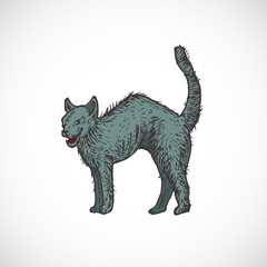 Hand Drawn Colorful Halloween Scary Evil Cat Vector Illustration. Abstract Animal Sketch. Holiday Engraving Style Drawing.