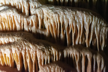 A row of beige stalactites in a cave