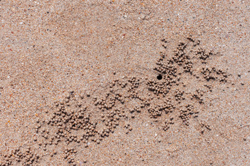 Crab burrow and sand balls on the beach