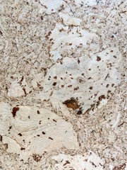 Textured background, wooden board with cork structure 