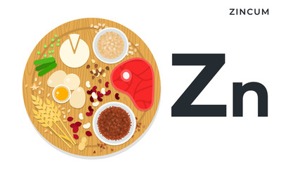 Vitamin Zn flat vector illustrations. Foods containing zincum. Diet, healthy nutritional.