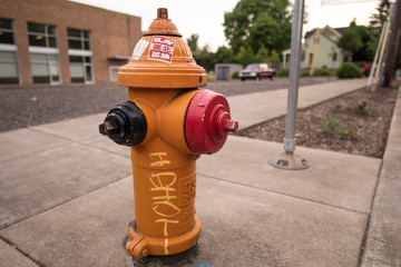fire hydrant in the city