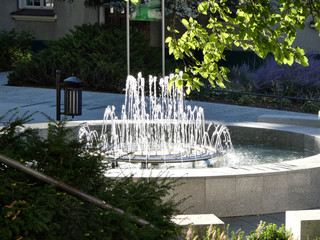 Mała okrągła fontanna wśród zieleni v1