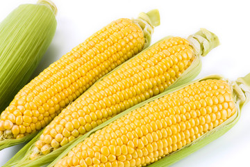 Close-up of fresh sweet corn with bright background.