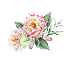 Watercolor bouquet with flowers. Illustration. Rose. Hand drawn.
