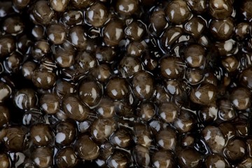 Caviar, Sturgeon, acipenser sp., Eggs