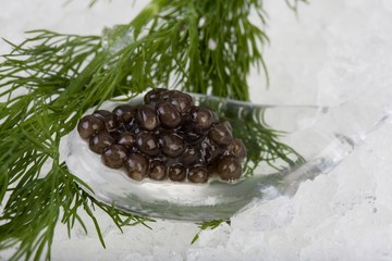 Caviar with Dill, Sturgeon, acipenser sp., Eggs