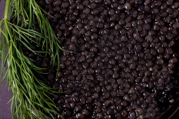 Caviar with Dill, Sturgeon, acipenser sp., Eggs