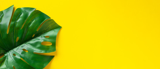 Fototapeta na wymiar Monstera leaf on vivid yellow background horizontal banner format, top view. Exotic summer concept minimalist flat lay with copy space