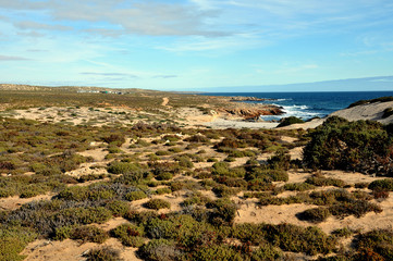 Fototapeta na wymiar The arid semi-desert of the West Coast of South Africa on the Atlantic Ocean