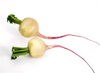Turnips, brassica rapa, Vegetables against White Background