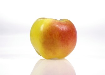 Calville Apple, malus domestica, Fruit against White Background