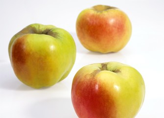 Calville Apple, malus domestica, Fruits against White Background