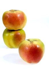 Calville Apple, malus domestica, Fruits against White Background