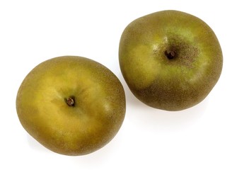 Canada Apple, malus domestica, Fruits against White Background