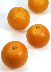 Orange, citrus sinensis, Fruits against White Background