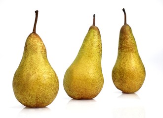 Conference Pear, pyrus communis, Fruits against White Background