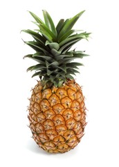 Fototapeta premium Pineapple, ananas comosus, Fruit against White Background