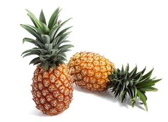 Pineapple, ananas comosus, Fruits against White Background