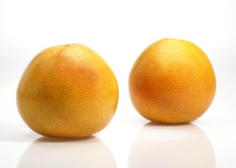 Pomelo, citrus paradisi, Fruits against White Background