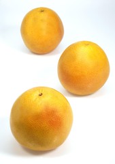 Pomelo, citrus paradisi, Fruits against White Background