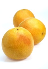 Pomelo, citrus paradisi, Fruits against White Background