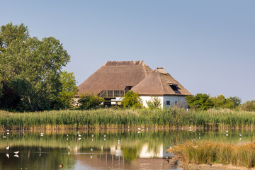 Edificio della laguna, un tipo di capanna caratteristico del Friuli Venezia Giulia che nella laguna...