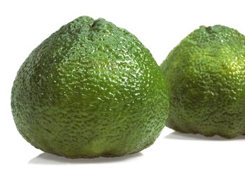 Ugly Grapefruit, citrus xtangelo, Fruits against White Background